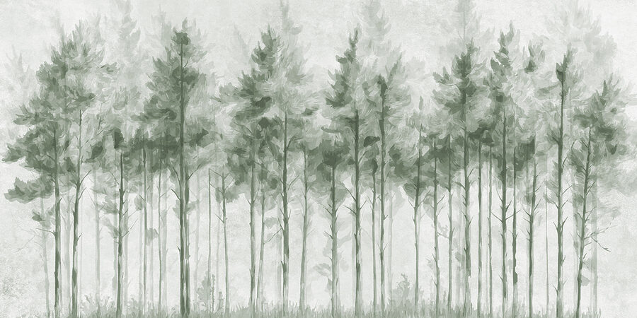 Group of trees in a forest Group of trees in a forest