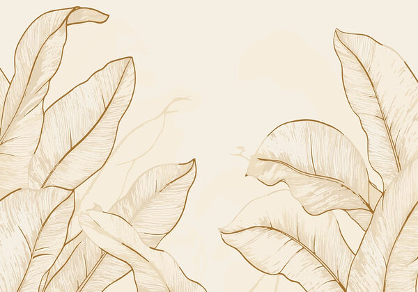 Nature’s elegance in subtle tones Nature’s elegance in subtle tones