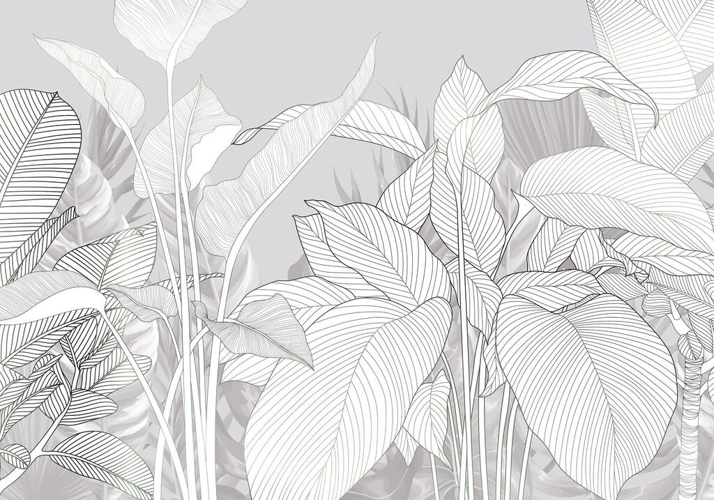Elegant lines of nature’s beauty Elegant lines of nature’s beauty