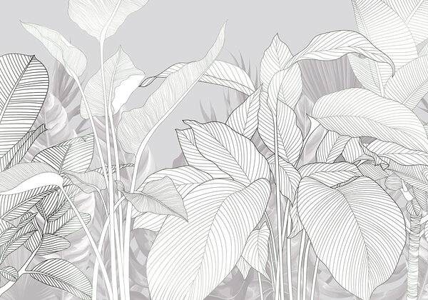 Elegant lines of nature’s beauty Elegant lines of nature’s beauty