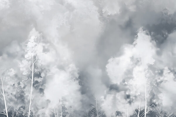 Group of trees with smoke Group of trees with smoke