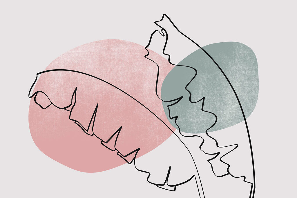 Drawing of a leaf Drawing of a leaf