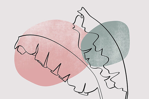 Drawing of a leaf Drawing of a leaf