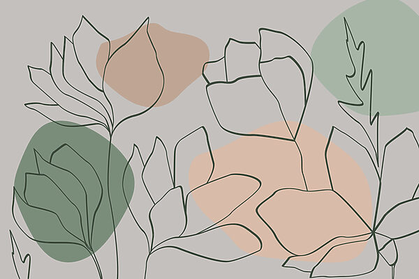 Drawing of flowers and leaves Drawing of flowers and leaves
