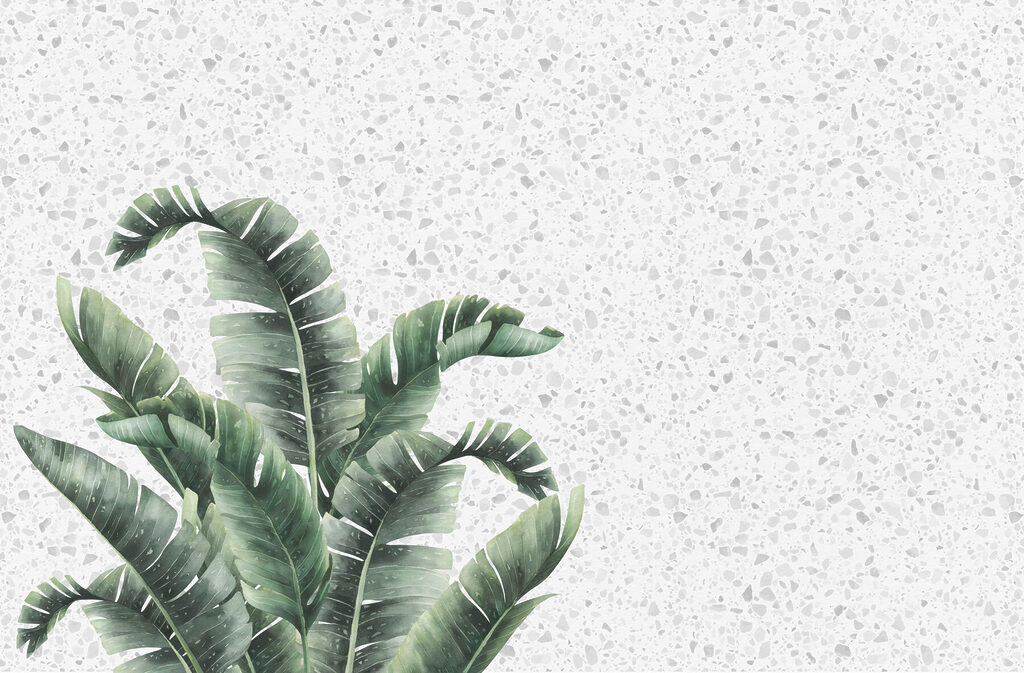 Plant with leaves on a white surface Plant with leaves on a white surface