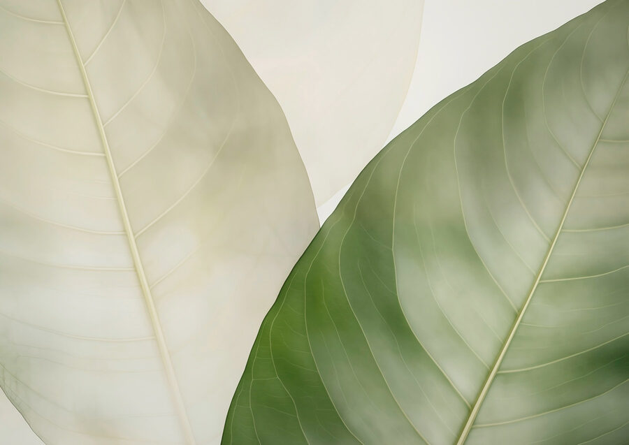 Elegant leaves in soft hues.