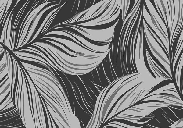 Pattern of feathers Pattern of feathers