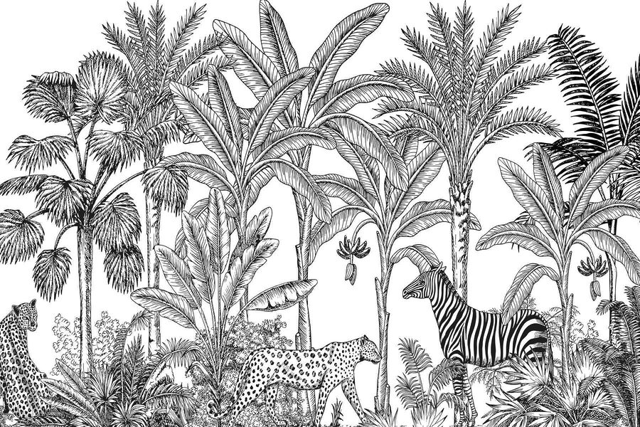 Zebra and cheetah in a jungle