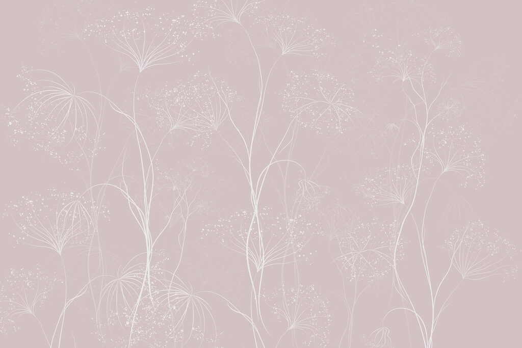 White flowers on a pink background White flowers on a pink background