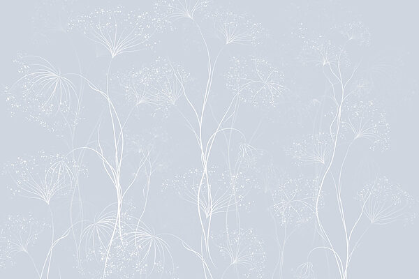 White flowers on a blue background White flowers on a blue background