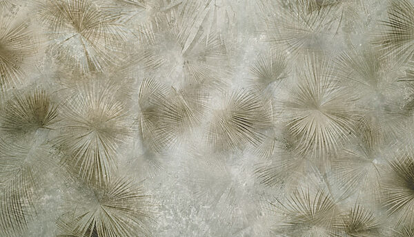 Nature’s patterns in soft colors Nature’s patterns in soft colors