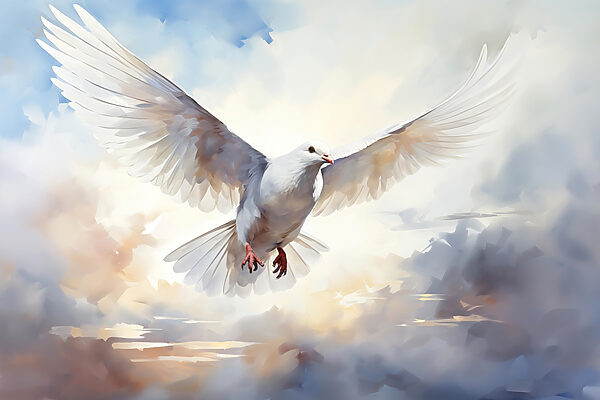 White dove flying in the sky White dove flying in the sky
