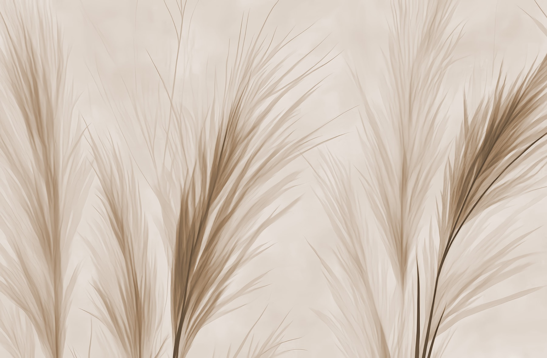 Delicate grass against a soft background Delicate grass against a soft background