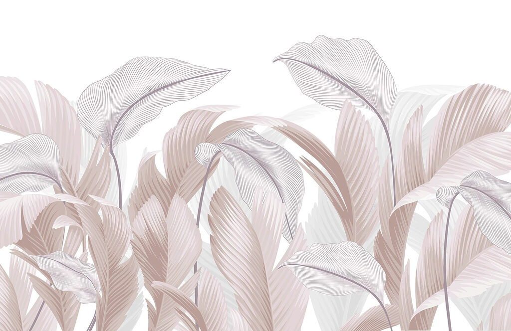 Delicate lines of nature’s beauty Delicate lines of nature’s beauty