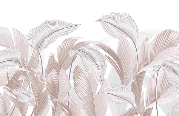 Delicate lines of nature’s beauty Delicate lines of nature’s beauty