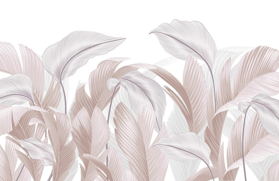 Delicate lines of nature’s beauty
