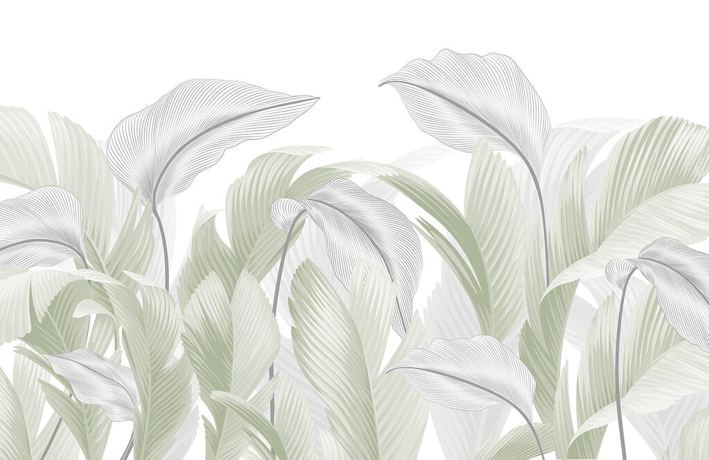 Elegant green leaves on a white backdrop Elegant green leaves on a white backdrop