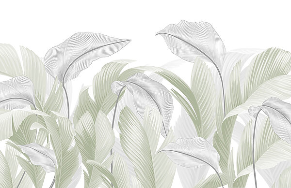Elegant green leaves on a white backdrop Elegant green leaves on a white backdrop