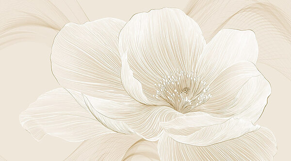 Delicate lines defining floral beauty Delicate lines defining floral beauty