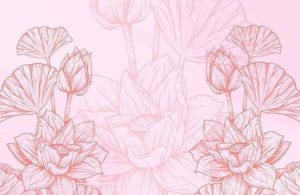 Pink and white flower drawing Pink and white flower drawing