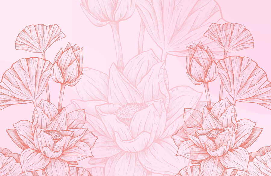 Pink and white flower drawing