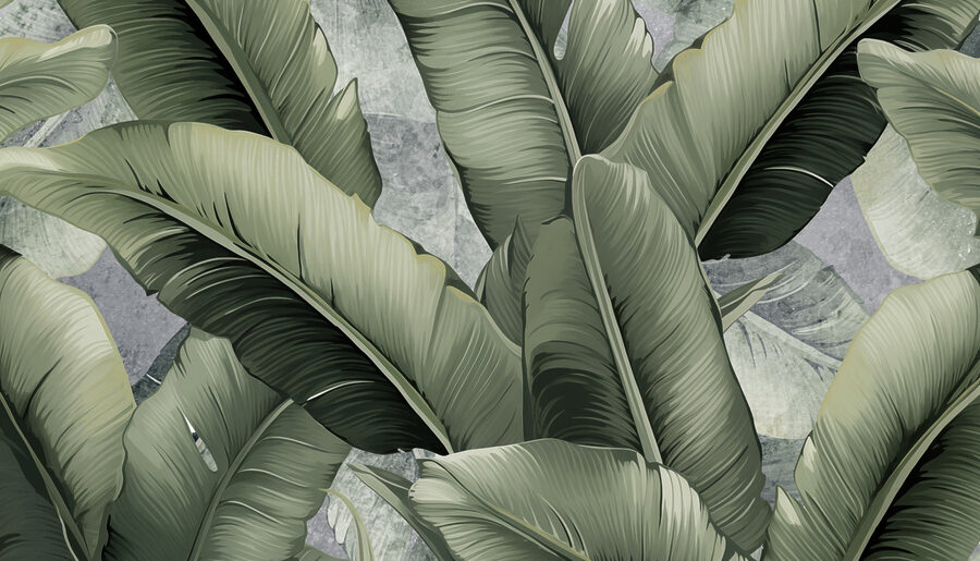 Lush green leaves creating tranquility