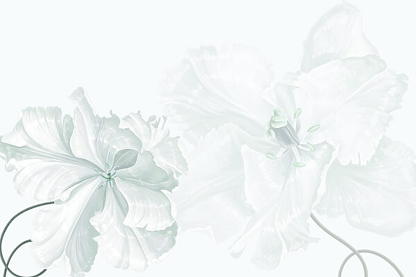 Delicate blooms in soft elegance Delicate blooms in soft elegance