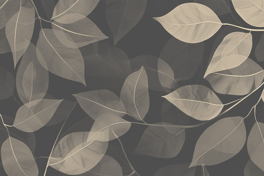 Soft leaves on dark canvas background