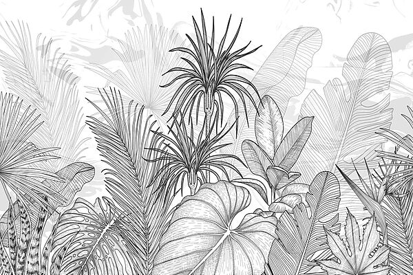 Black and white drawing of plants Black and white drawing of plants