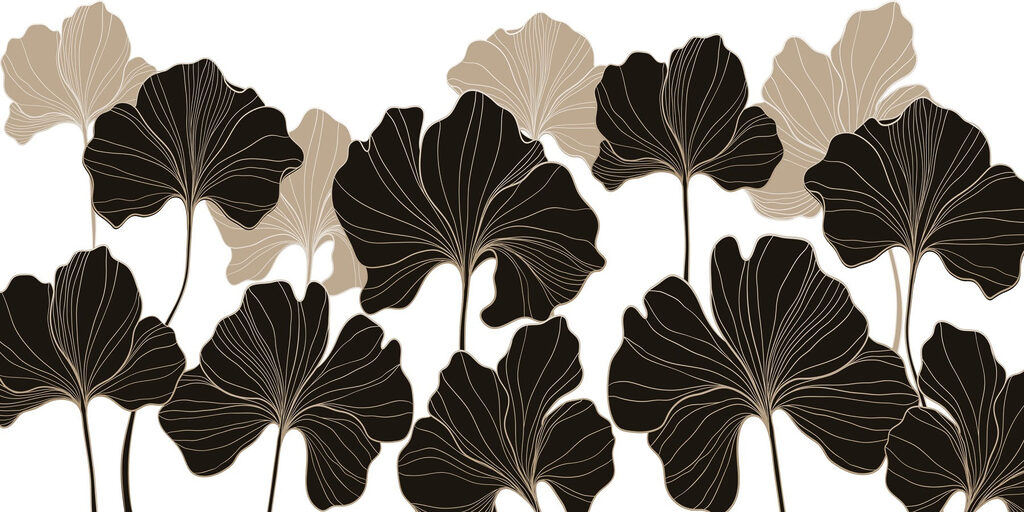 Nature’s elegance in monochrome hues Nature’s elegance in monochrome hues