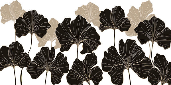Nature’s elegance in monochrome hues Nature’s elegance in monochrome hues