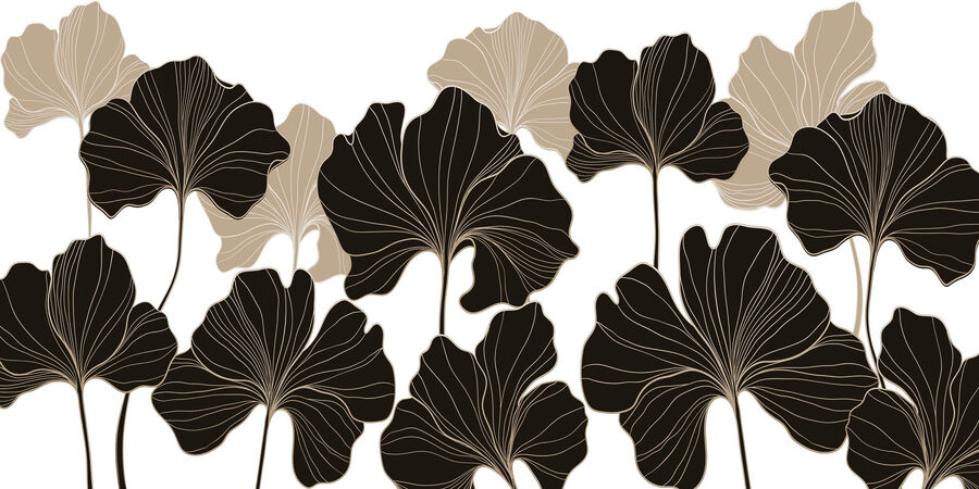 Nature’s elegance in monochrome hues