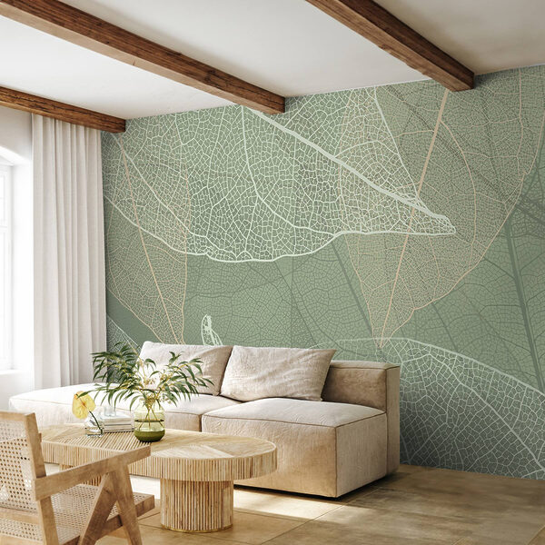 Delicate patterns of nature’s design Delicate patterns of nature’s design