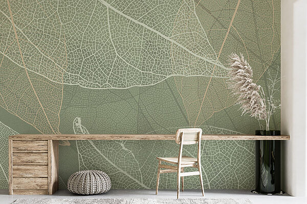 Delicate patterns of nature’s design Delicate patterns of nature’s design
