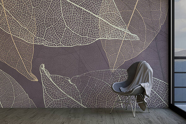 Nature’s delicate leaf patterns revealed. Nature’s delicate leaf patterns revealed.