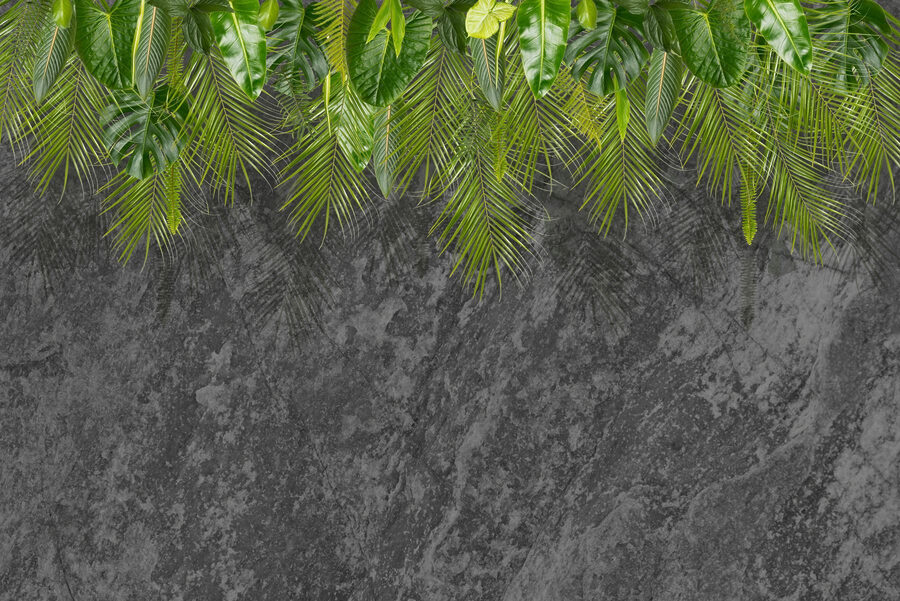Group of green leaves on a grey background