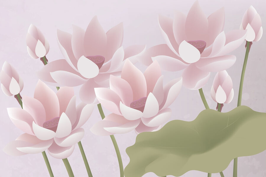 Group of pink flowers