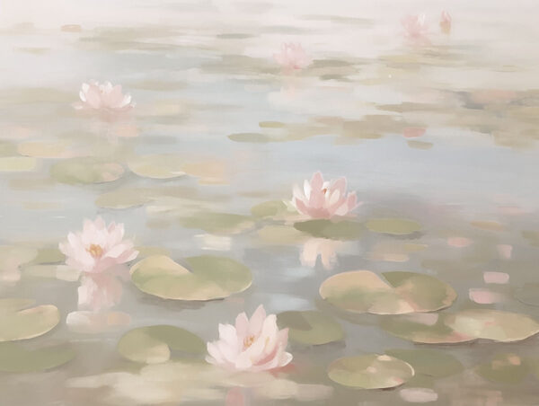 Water lily flowers on a pond Water lily flowers on a pond