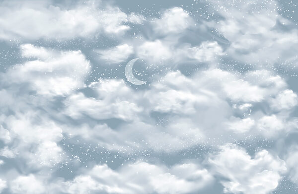 Moon in the sky