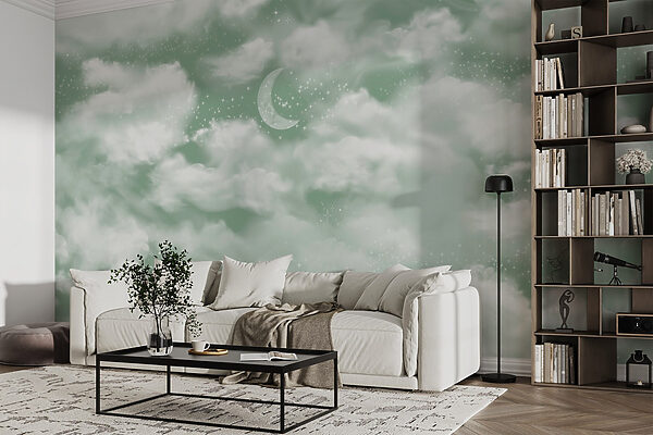 Moon in the sky