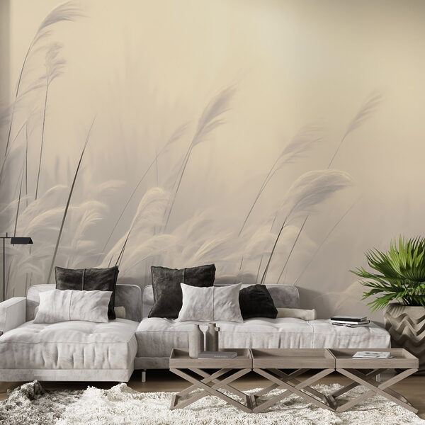 Gentle grasses in soft light Gentle grasses in soft light