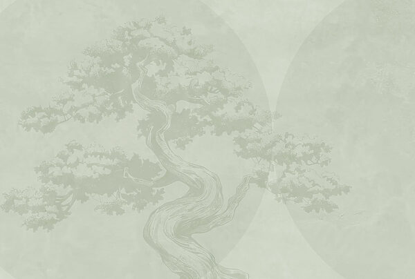 Tree with a curved trunk