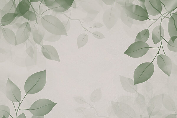 Green leaves on a white background Green leaves on a white background