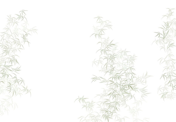 Plant with leaves on it