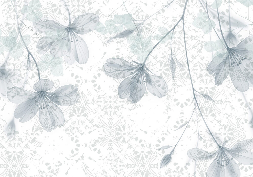Delicate blooms on a soft background Delicate blooms on a soft background