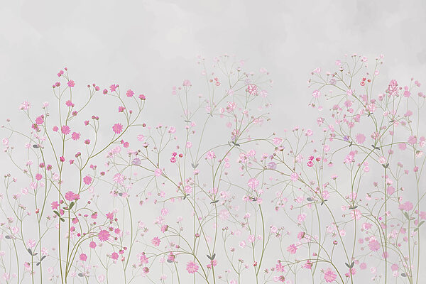 Group of pink flowers Group of pink flowers
