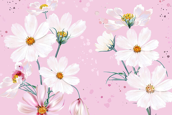 Group of white flowers w02651p 600x400 - Group of white flowers