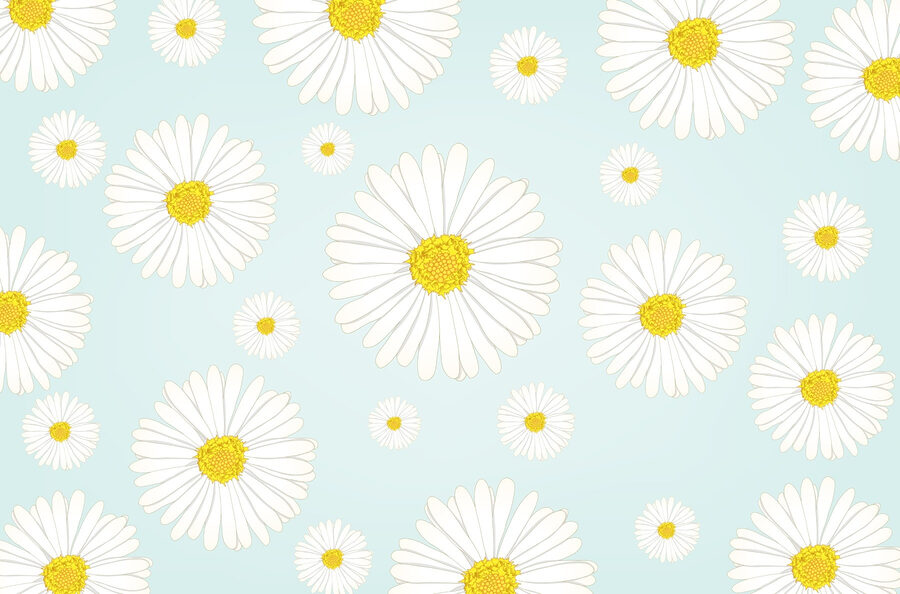 Pattern of white and yellow flowers