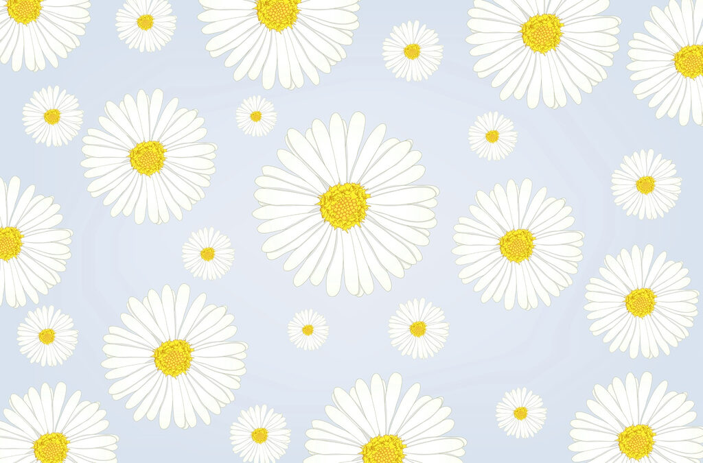 Group of white and yellow flowers Group of white and yellow flowers