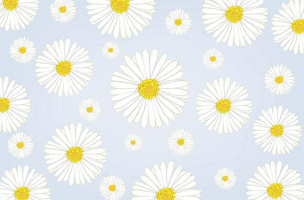 Group of white and yellow flowers Group of white and yellow flowers
